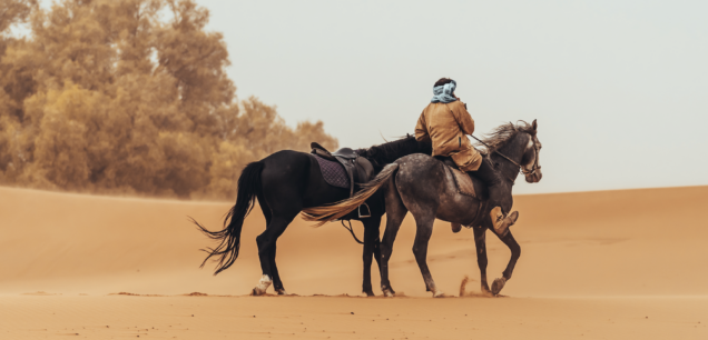 Dakhla